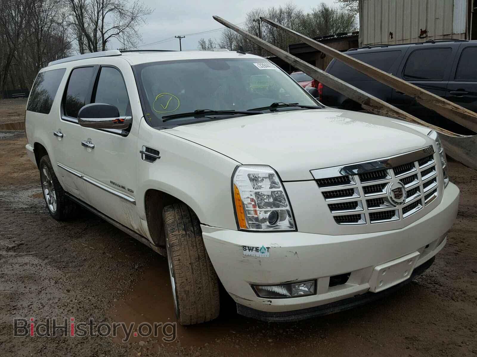 Фотография 1GYS4JEF8BR111629 - CADILLAC ESCALADE 2011