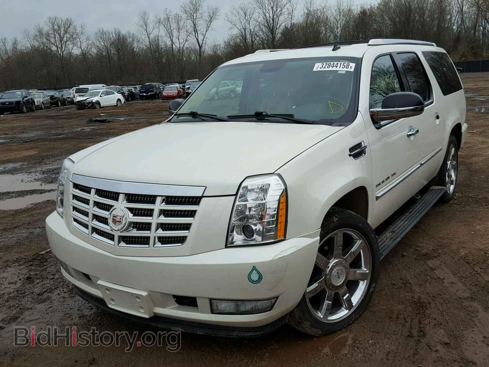 2011 CADILLAC ESCALADE - VIN: 1GYS4JEF8BR111629 - Фото 2