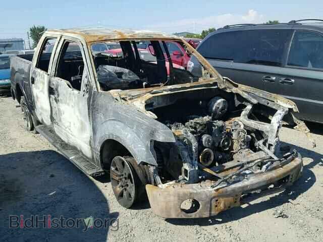 Photo 1FTEW1C8XAKE39465 - FORD F150 2010
