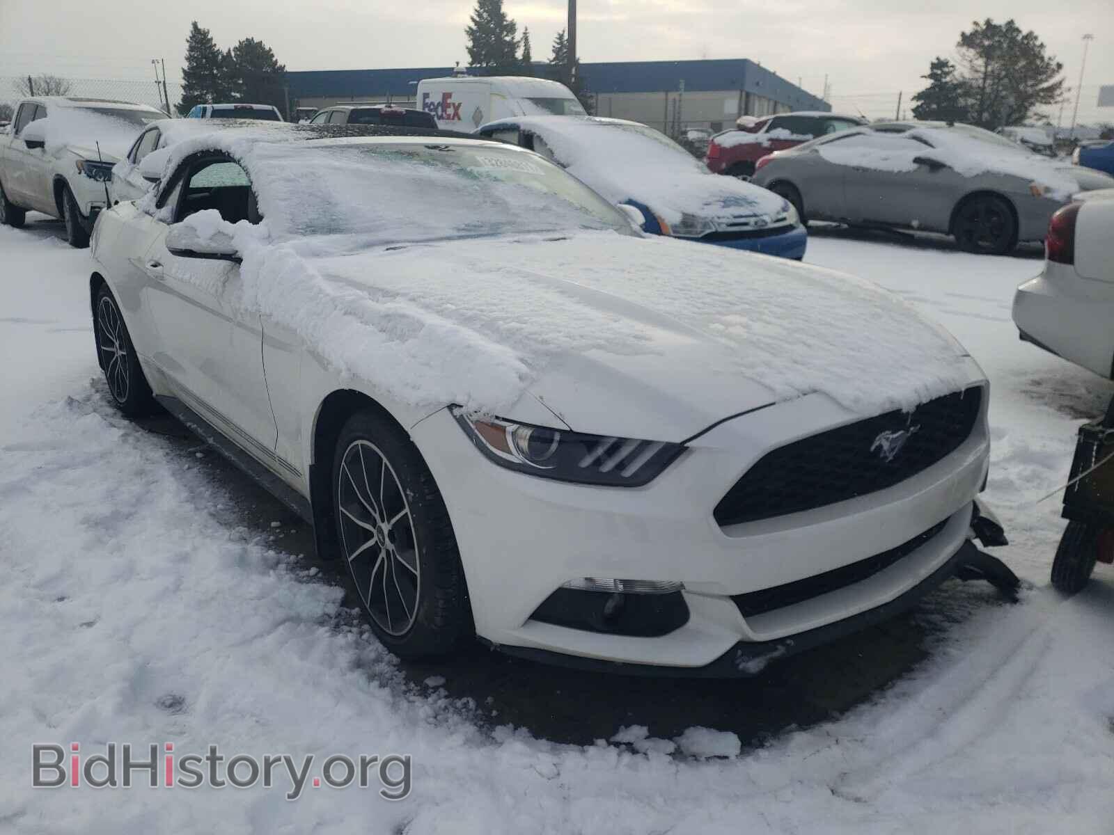 Photo 1FATP8UHXH5343894 - FORD MUSTANG 2017