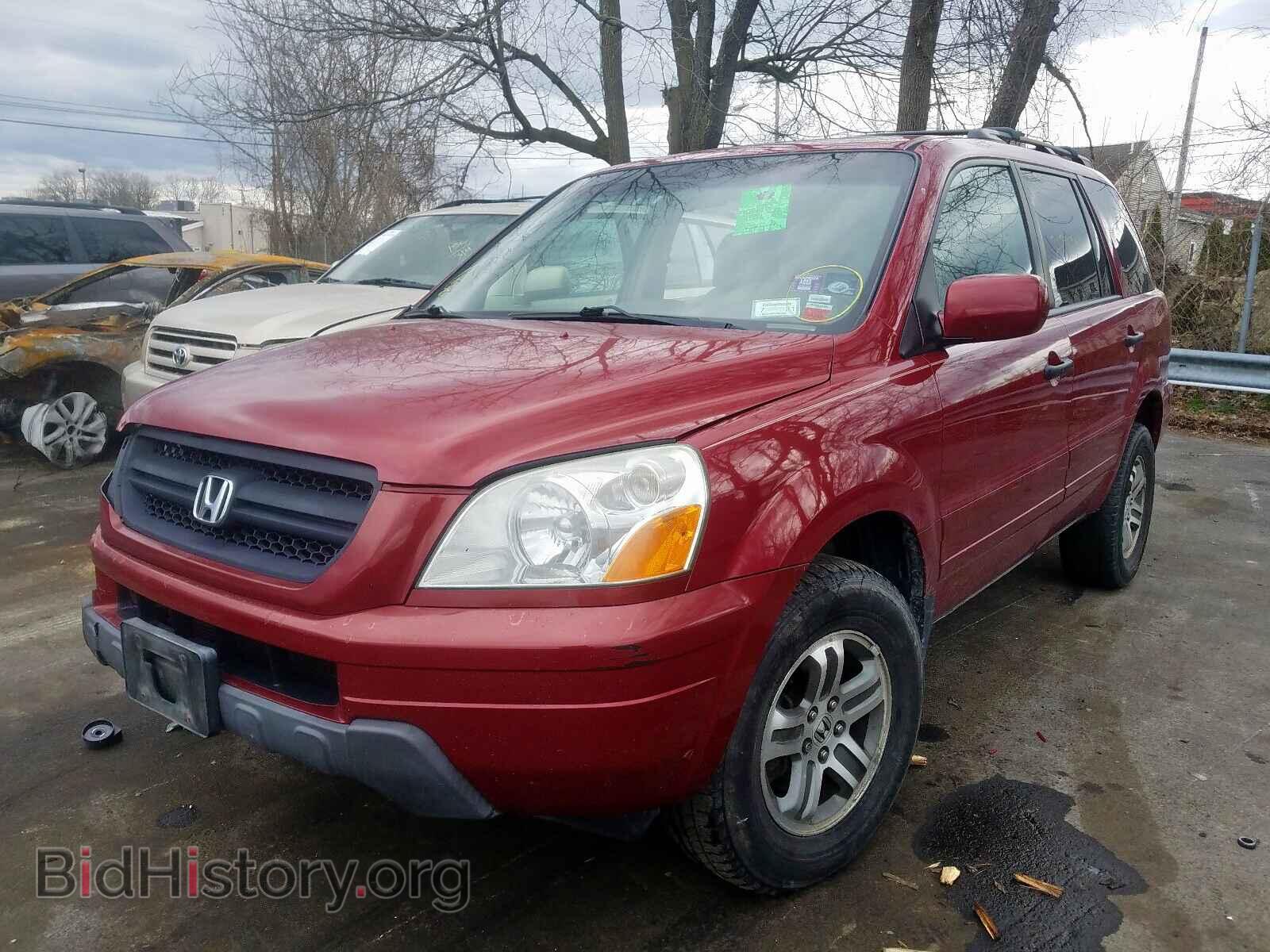 2005 HONDA PILOT - VIN: 5FNYF18685B002426 - Фото 2