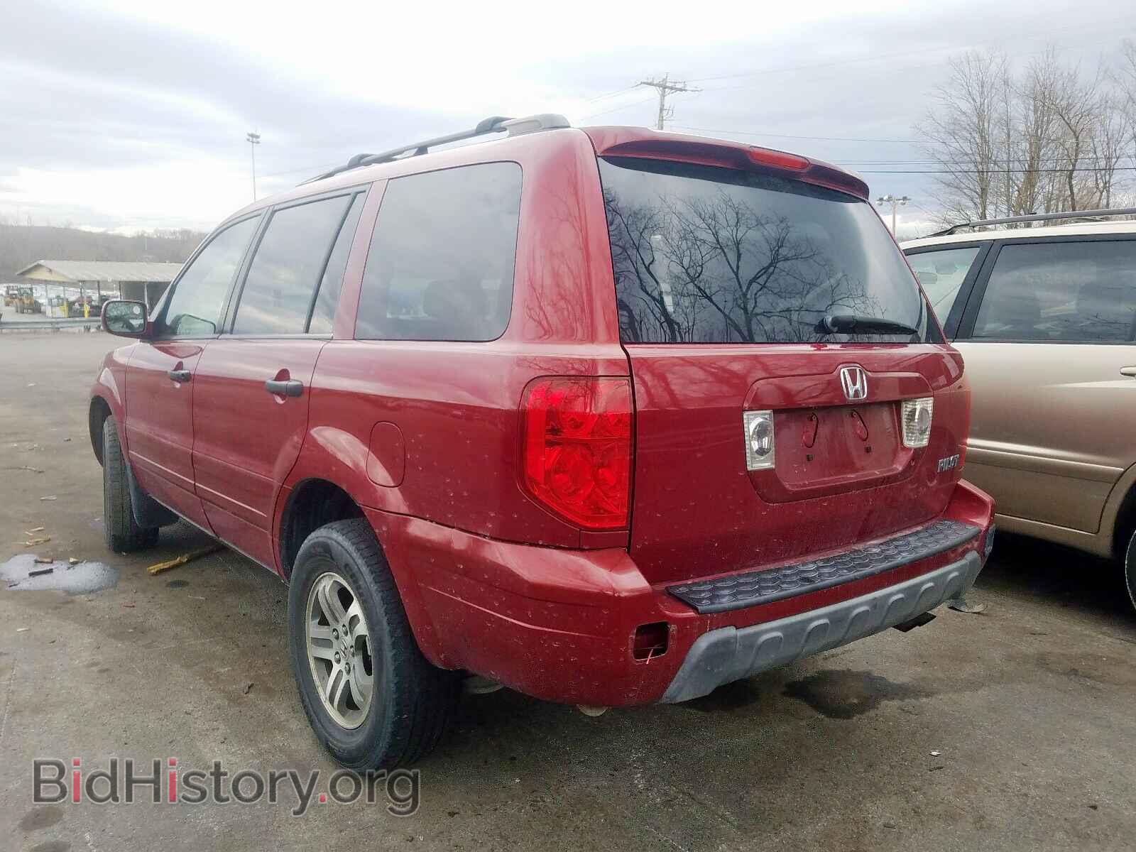 2005 HONDA PILOT - VIN: 5FNYF18685B002426 - Фото 3