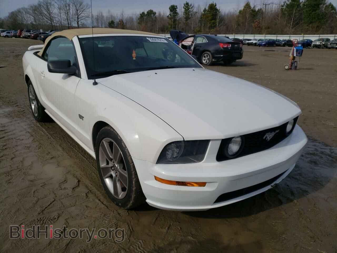 Photo 1ZVHT85H085117872 - FORD MUSTANG 2008