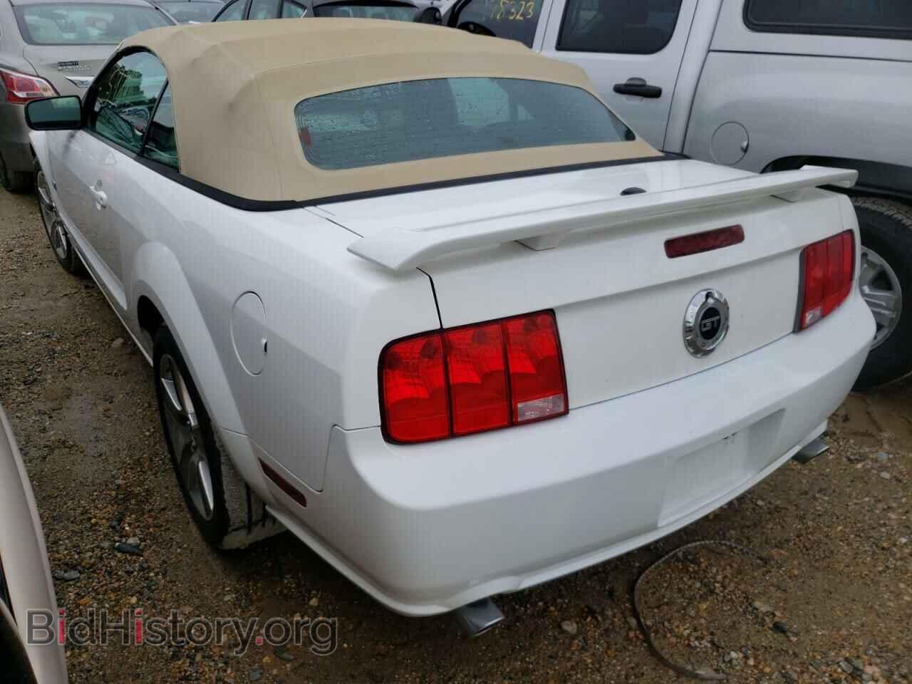 2008 FORD MUSTANG - VIN: 1ZVHT85H085117872 - Фото 3