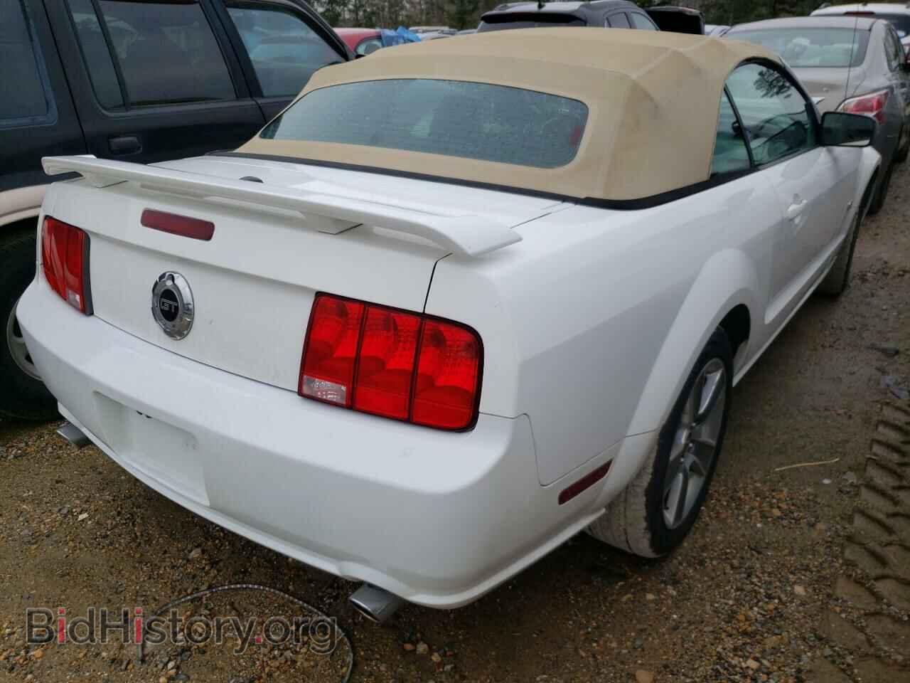 2008 FORD MUSTANG - VIN: 1ZVHT85H085117872 - Фото 4