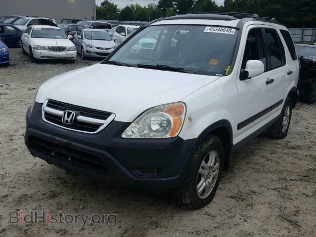 2004 HONDA CR-V EX - VIN: SHSRD78844U243101 - Фото 2