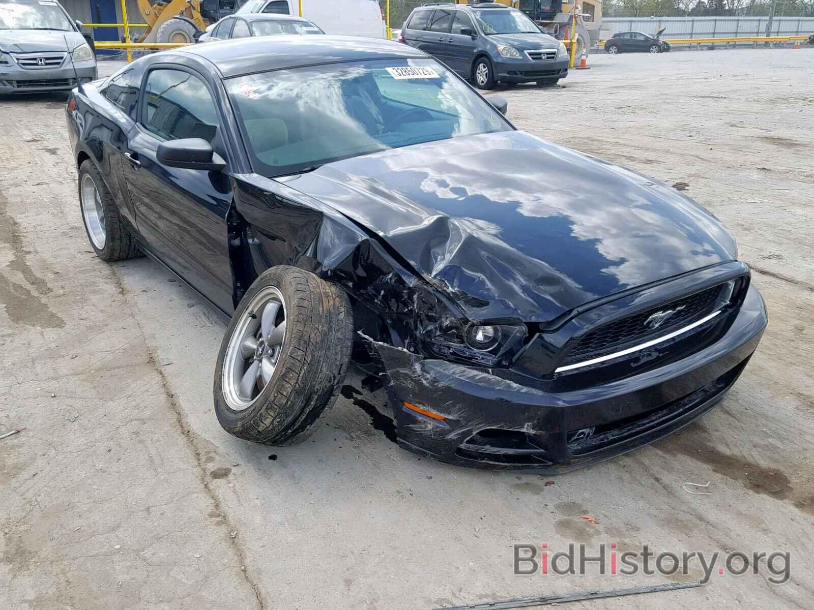 Photo 1ZVBP8AM3E5318870 - FORD MUSTANG 2014
