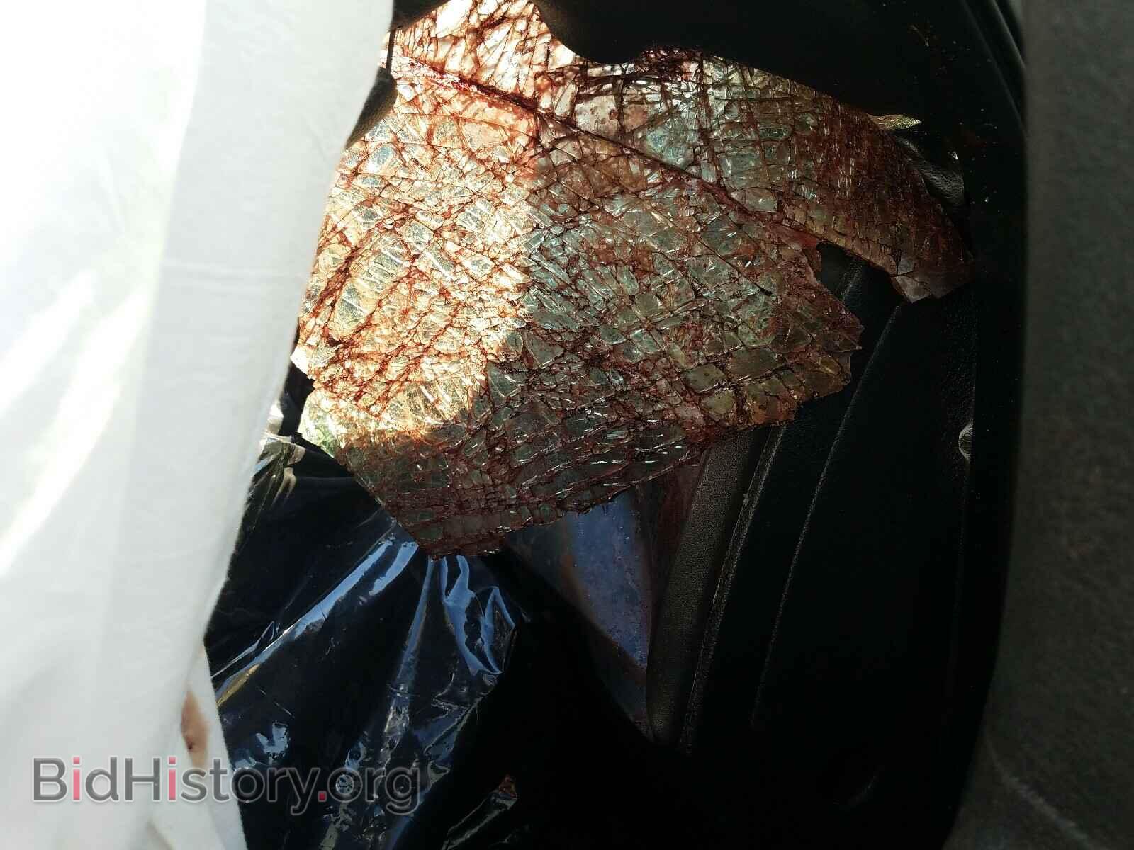 2013 FORD F150 - VIN: 1FTMF1CM3DFD91359 - Фото 9