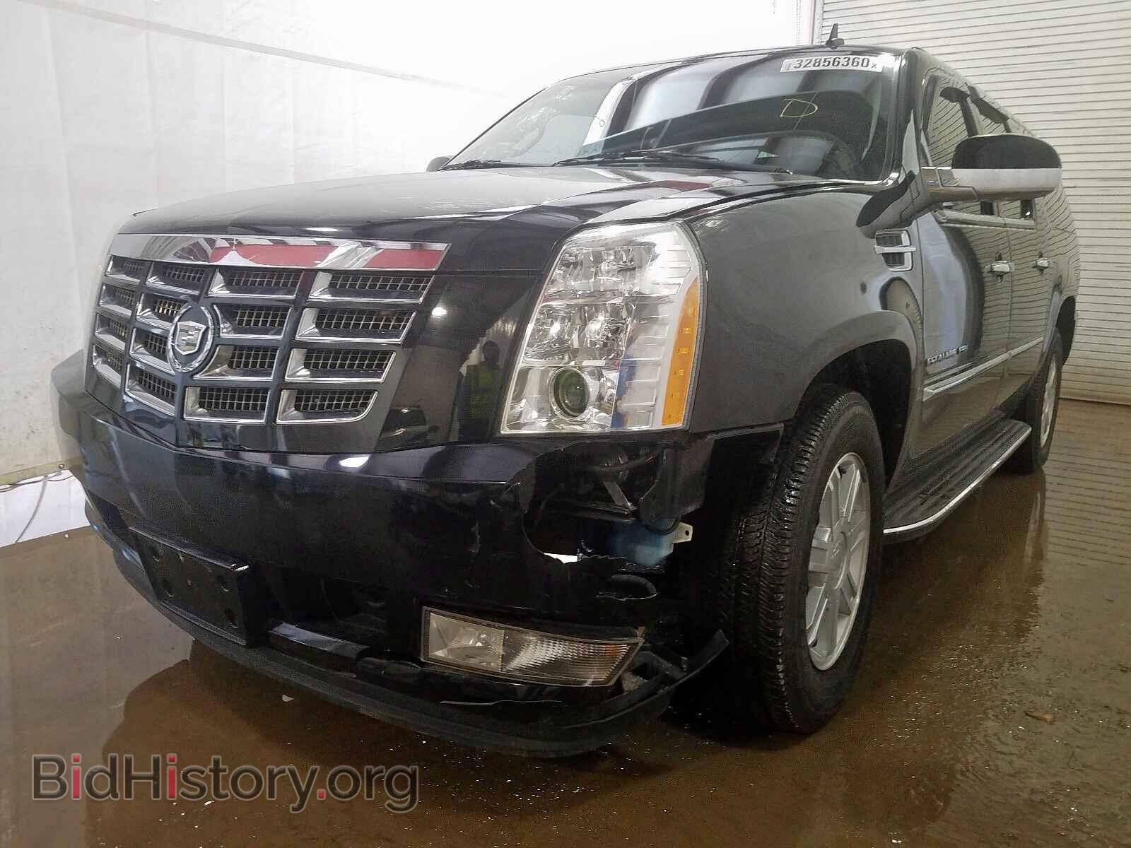 2011 CADILLAC ESCALADE - VIN: 1GYS4GEF5BR296919 - Фото 2
