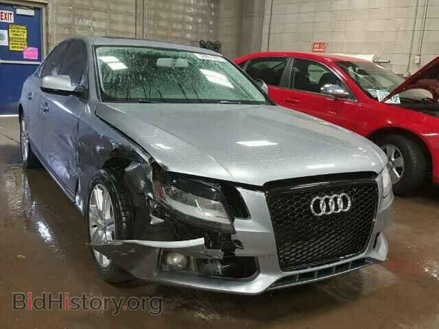 Фотография WAUBFAFL4AN068799 - AUDI A4 2010
