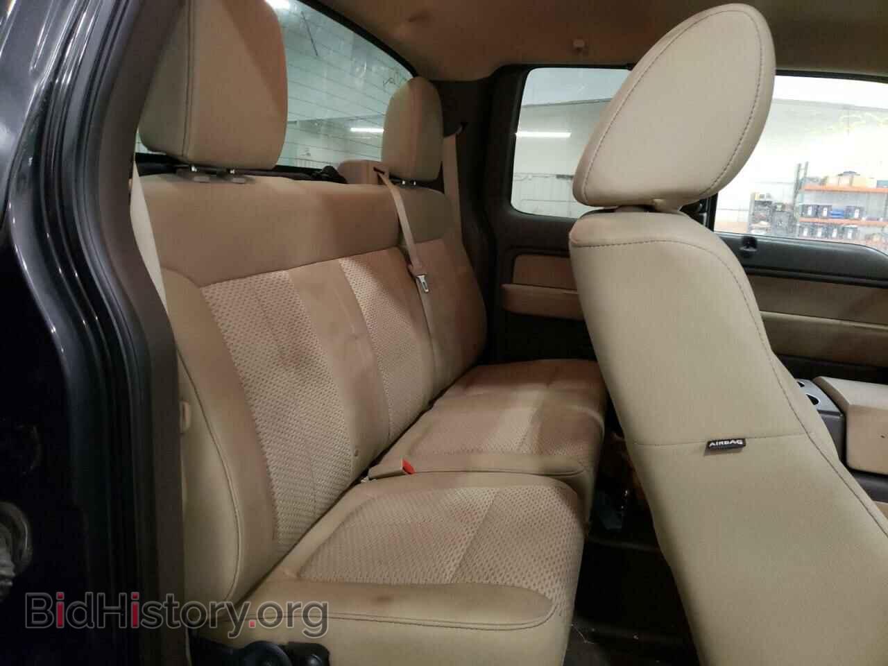 2010 FORD F150 - VIN: 1FTFX1EV9AFB22838 - Фото 6