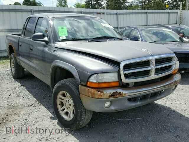 Photo 1D7HG48N94S537262 - DODGE DAKOTA 2004