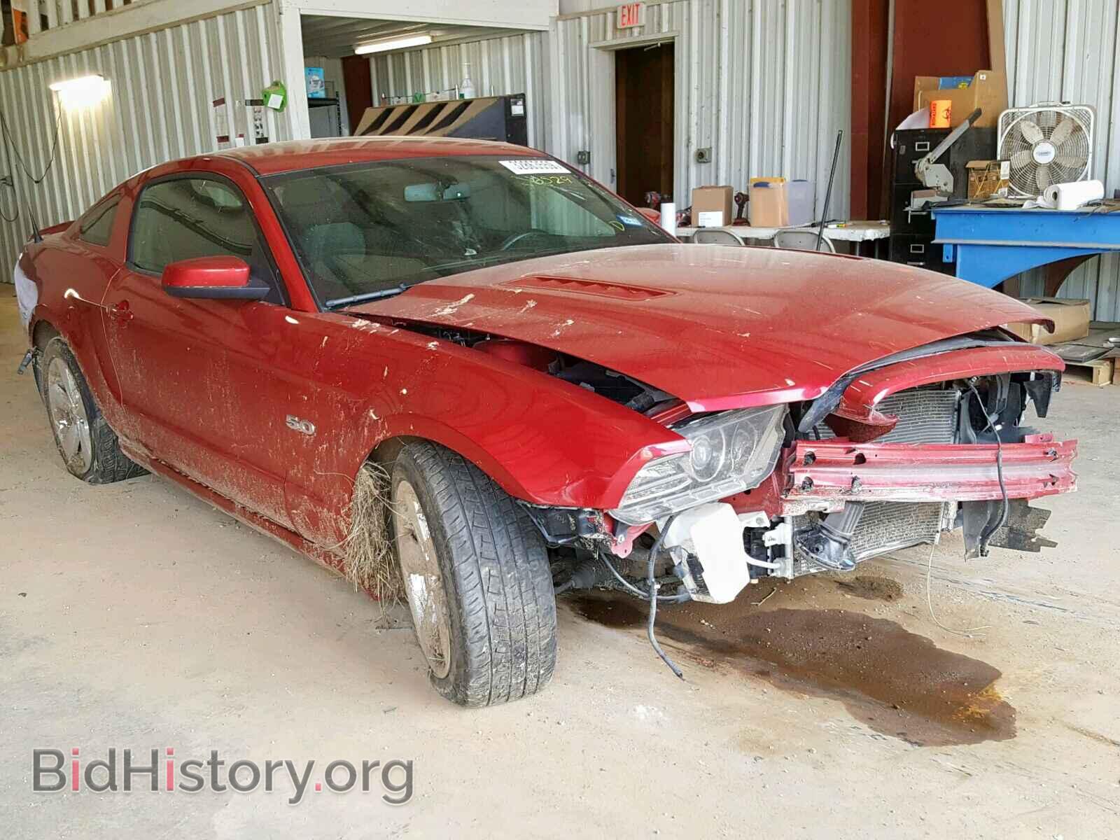 Photo 1ZVBP8CF0D5266529 - FORD MUSTANG GT 2013