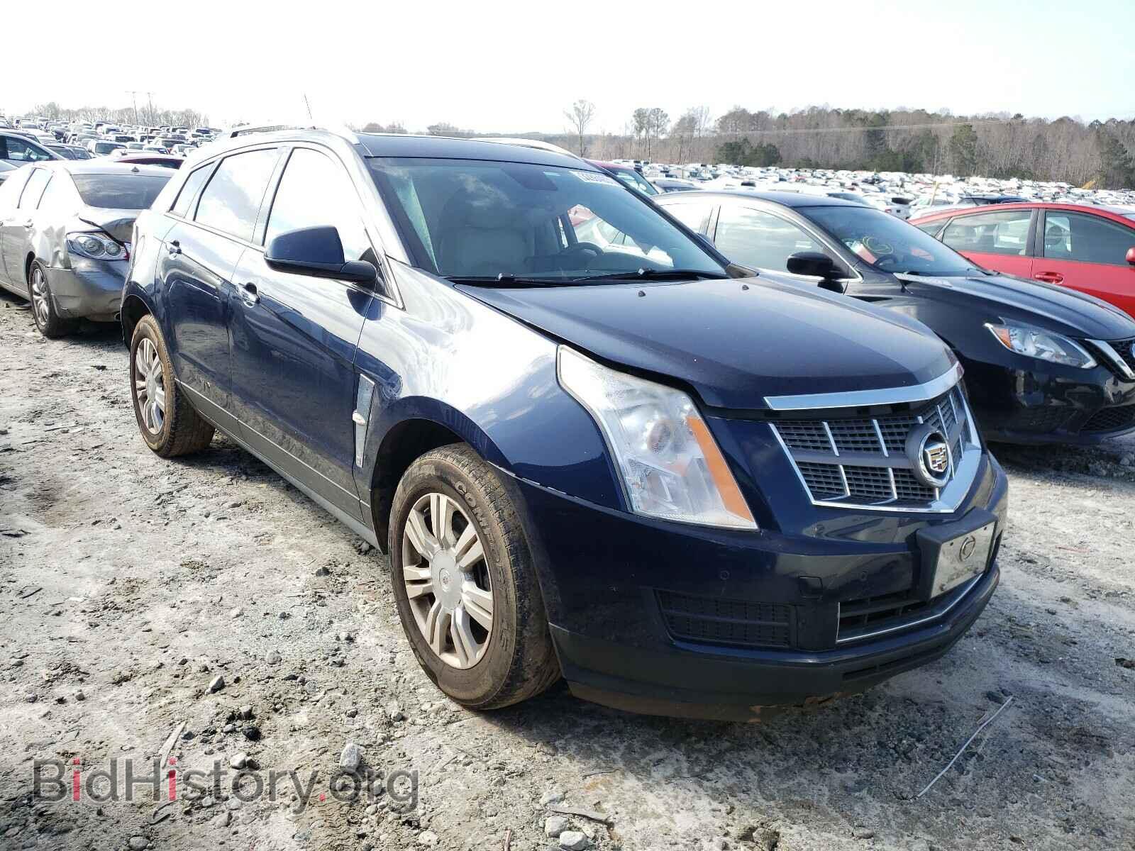 Photo 3GYFNDEY9BS533942 - CADILLAC SRX 2011