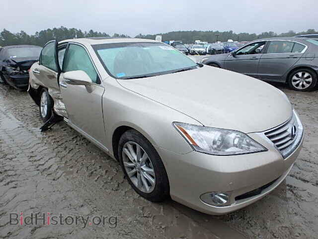 Фотография JTHBK1EG7B2465069 - LEXUS ES350 2011