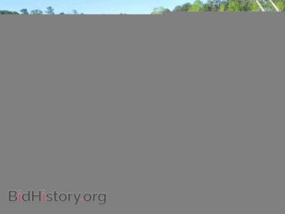 2006 Audi A4 A4 2.0T QU, синий — VIN WAUDF78E16A014949, Copart