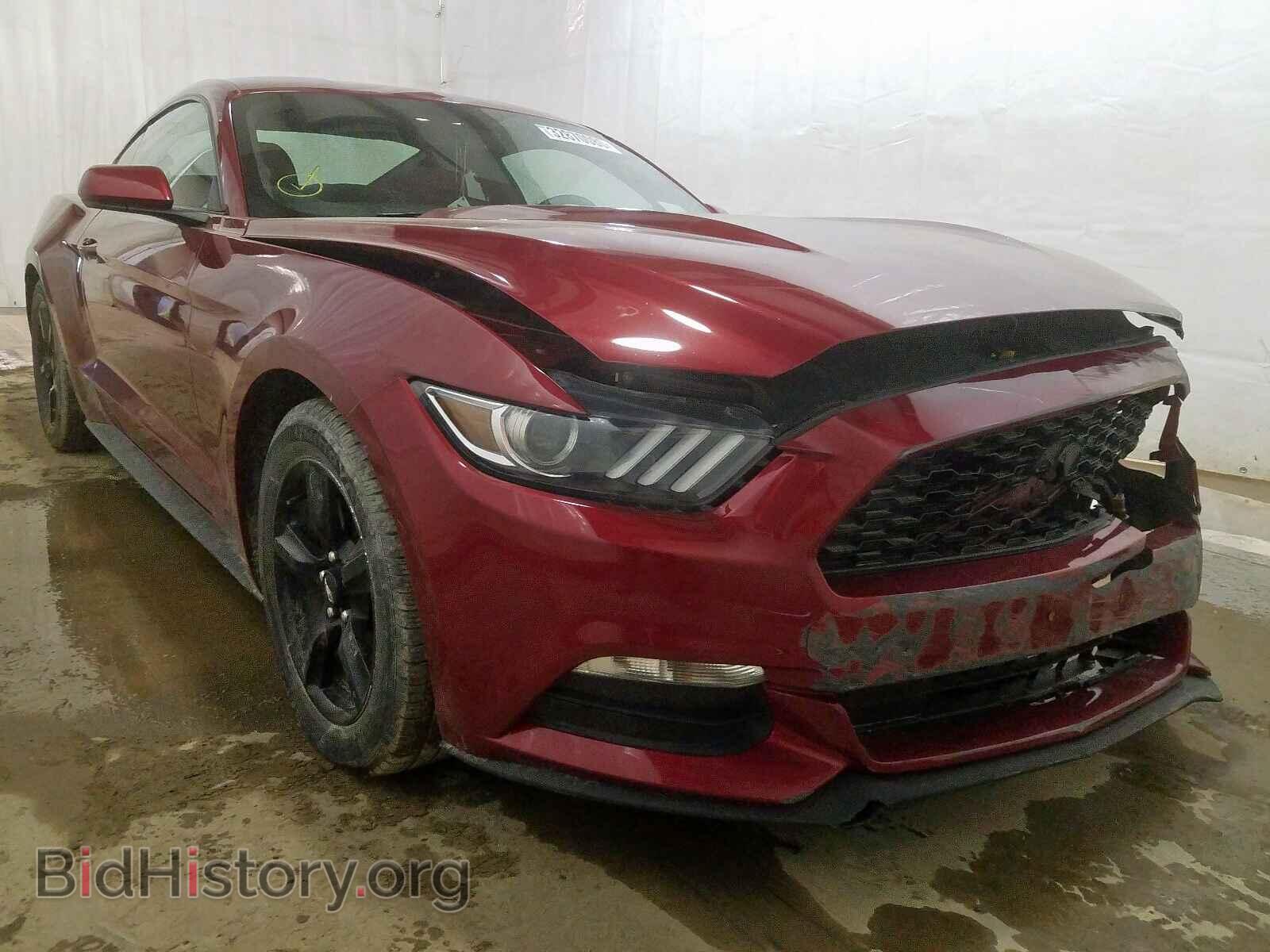 Photo 1FA6P8AM7H5208094 - FORD MUSTANG 2017