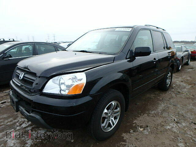 2005 HONDA PILOT - VIN: 5FNYF18515B044069 - Фото 2