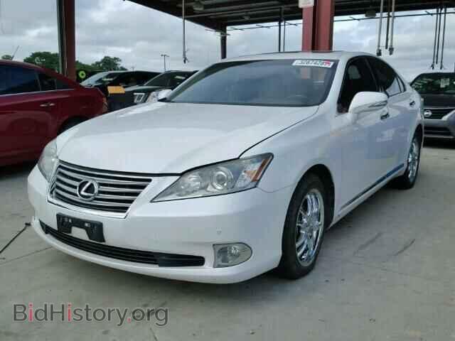 2010 LEXUS ES350 - VIN: JTHBK1EG2A2407627 - Фото 2