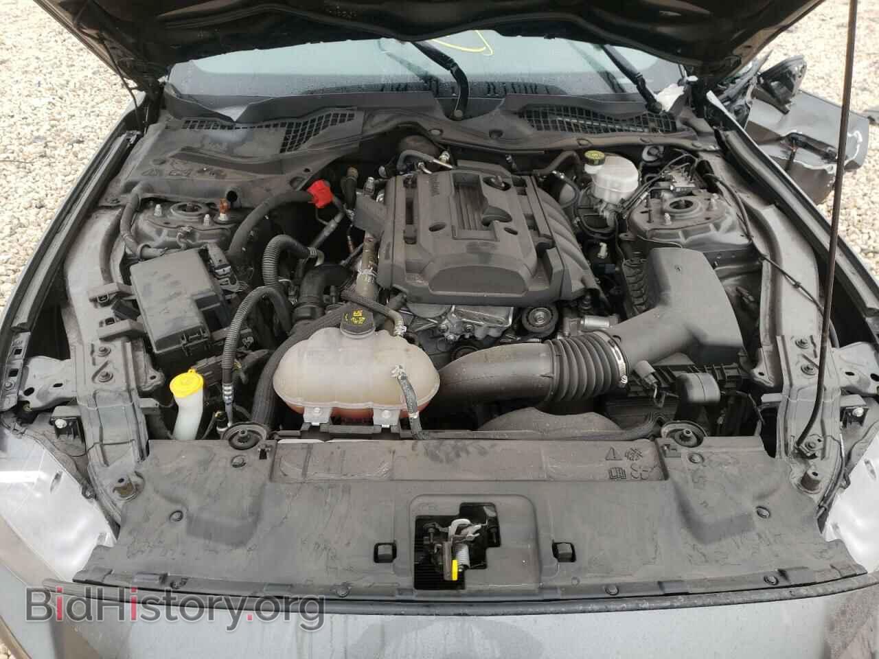 2019 FORD MUSTANG - VIN: 1FA6P8TH0K5117885 - Фото 7