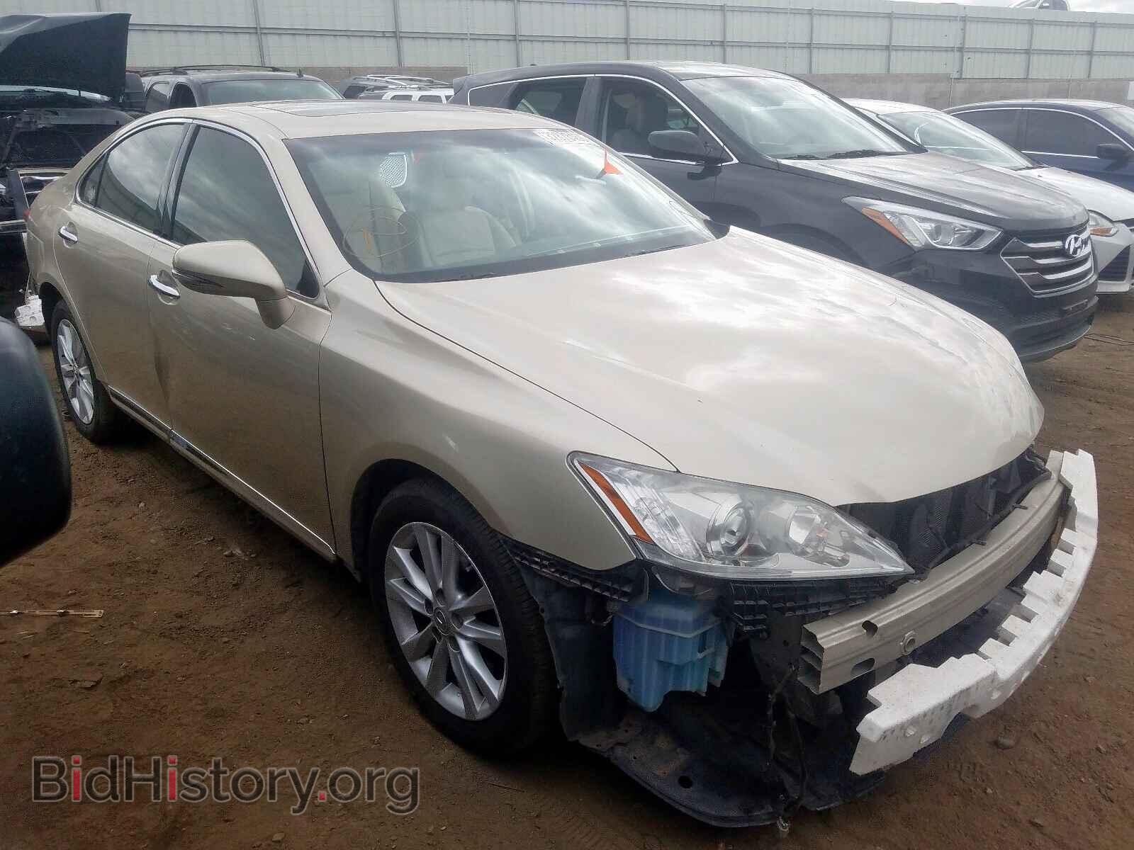 Фотография JTHBK1EG1C2480636 - LEXUS ES350 2012