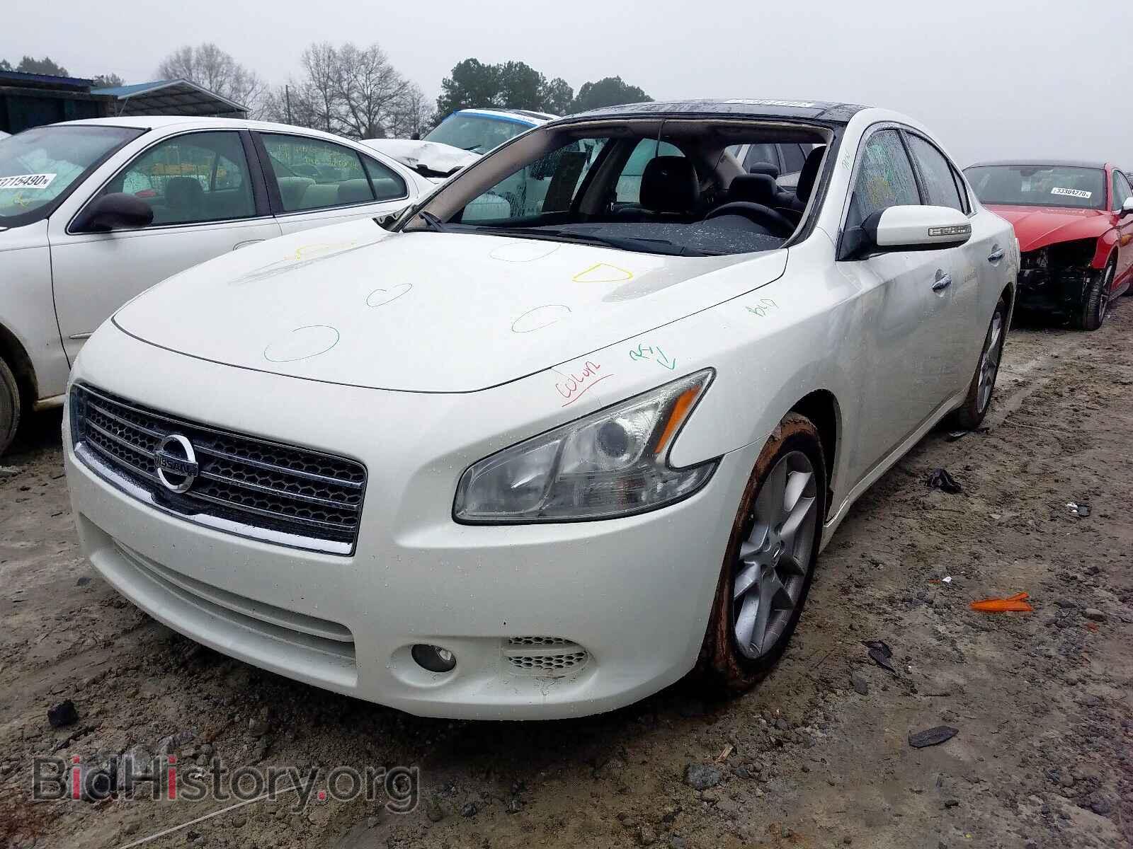 2010 NISSAN MAXIMA - VIN: 1N4AA5AP4AC864095 - Фото 2