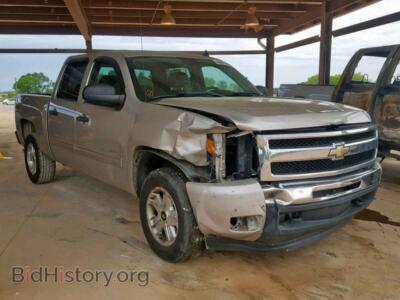 2009 Chevrolet SILVERADO, серебристый — VIN 3GCEK23349G154575, Copart