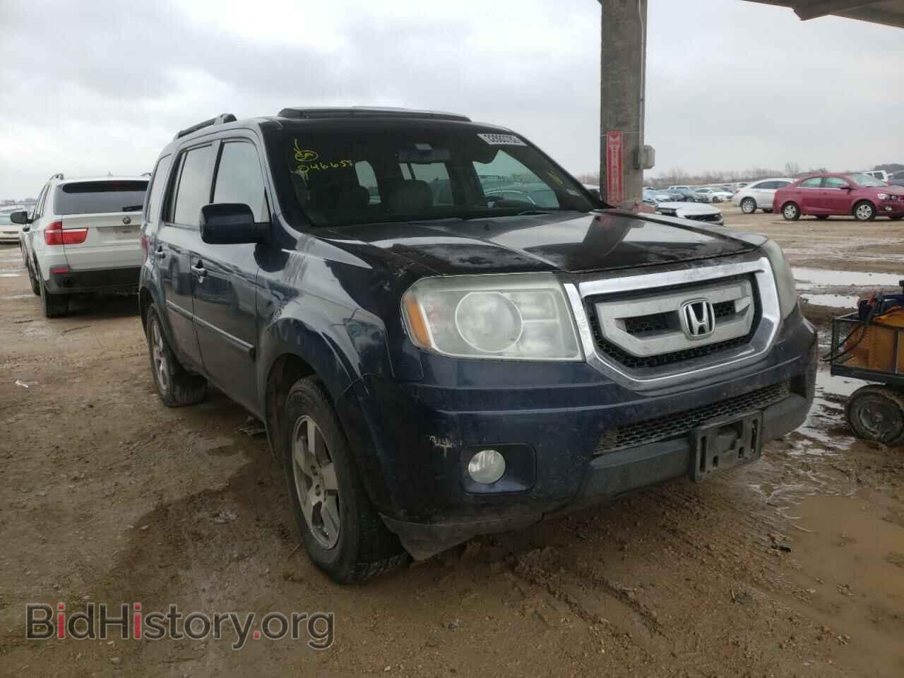 Фотография 5FNYF3H53BB046655 - HONDA PILOT 2011