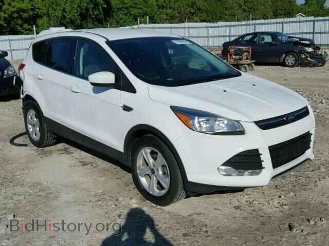 Фотография 1FMCU0GXXEUC11903 - FORD ESCAPE 2014