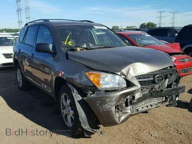 Фотография 2T3BF4DV2CW204643 - TOYOTA RAV4 2012