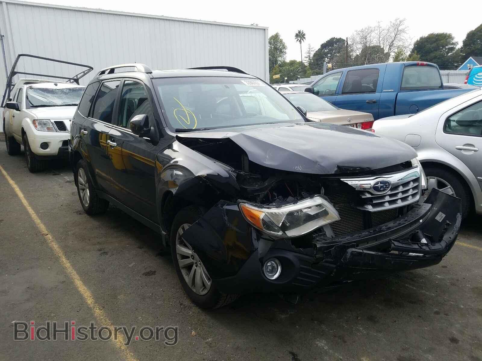 Photo JF2SHAEC1BH757599 - SUBARU FORESTER 2011