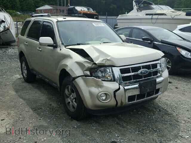 Photo 1FMCU0E77BKA72839 - FORD ESCAPE 2011