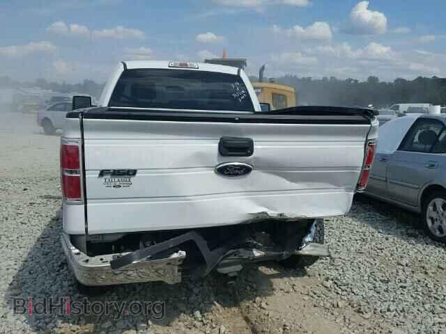 2011 FORD F150 - VIN: 1FTPF1CT9BKD59248 - Фото 10