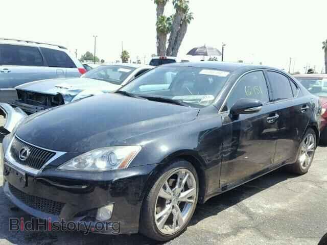 2010 LEXUS IS250 - VIN: JTHBF5C24A5123966 - Фото 2