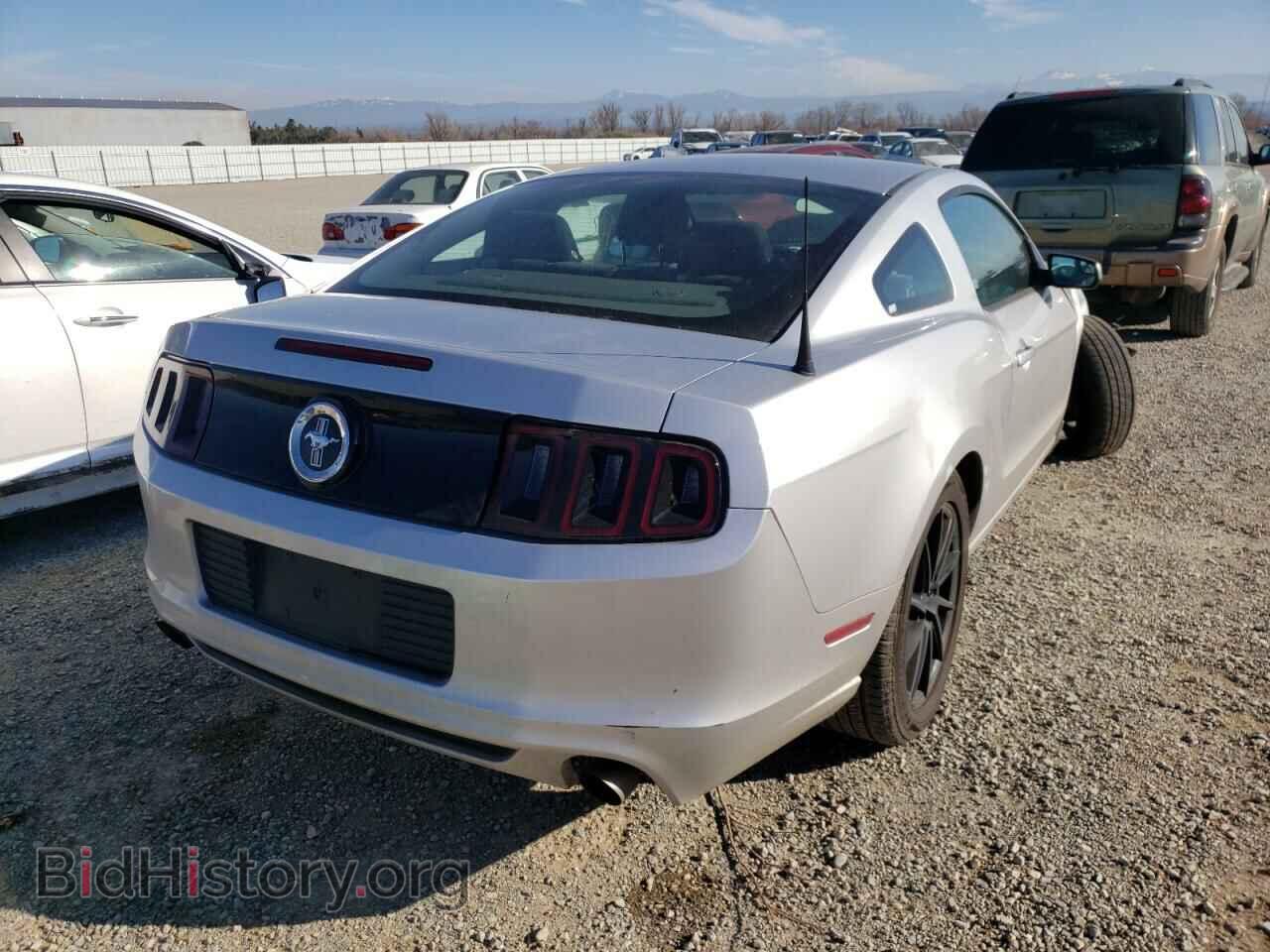 2013 FORD MUSTANG - VIN: 1ZVBP8AM7D5271891 - Фото 4