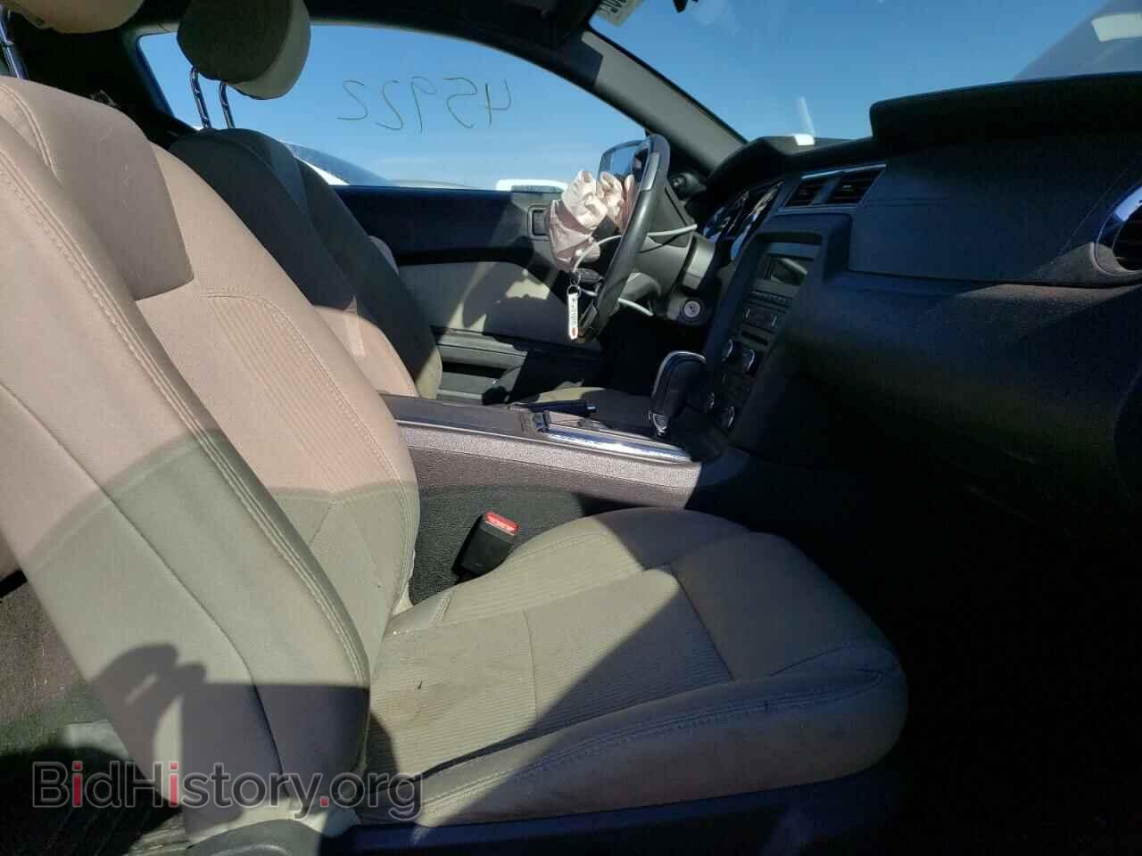 2013 FORD MUSTANG - VIN: 1ZVBP8AM7D5271891 - Фото 5