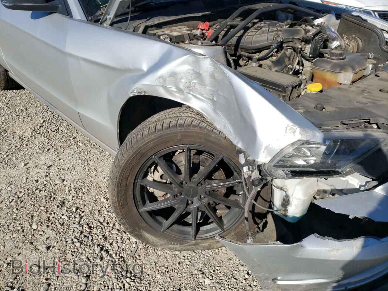 2013 FORD MUSTANG - VIN: 1ZVBP8AM7D5271891 - Фото 9