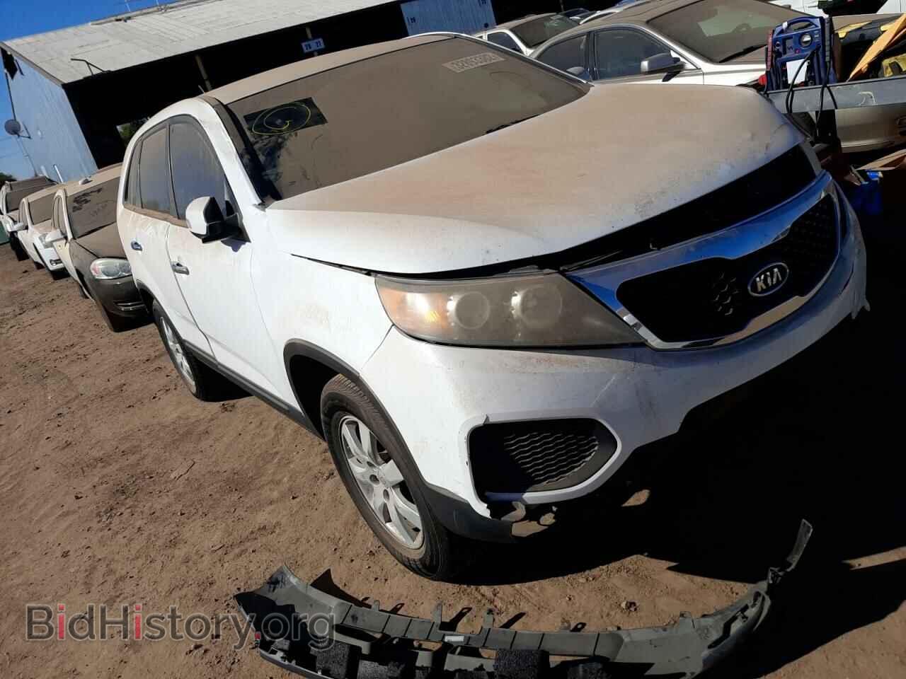 Photo 5XYKT3A13BG095207 - KIA SORENTO 2011
