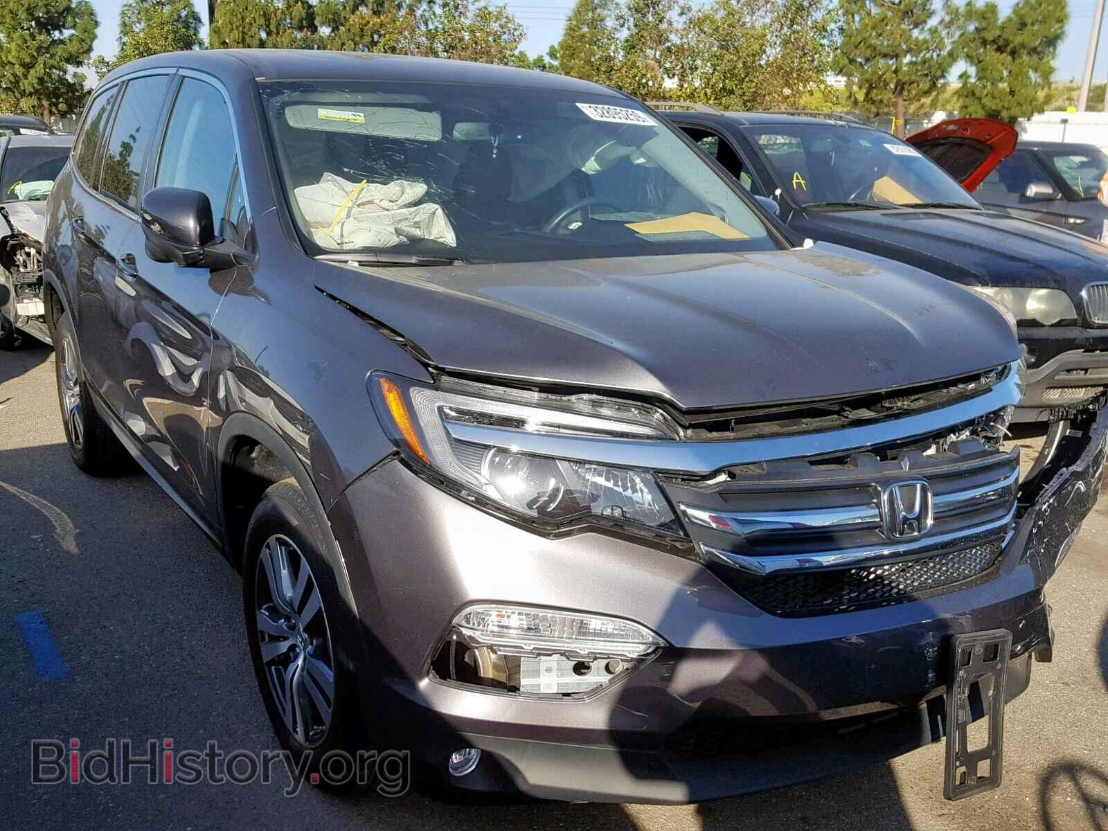 Фотография 5FNYF5H57HB013002 - HONDA PILOT EXL 2017