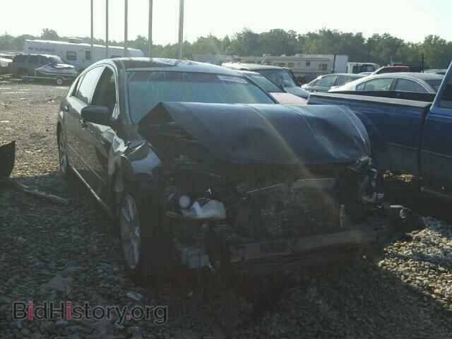Photo 1N4BA41E18C830932 - NISSAN MAXIMA 2008