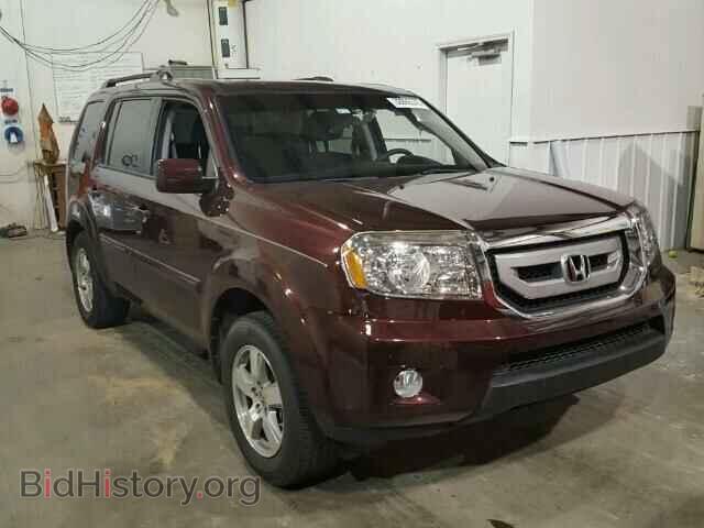 Фотография 5FNYF4H47BB081728 - HONDA PILOT 2011