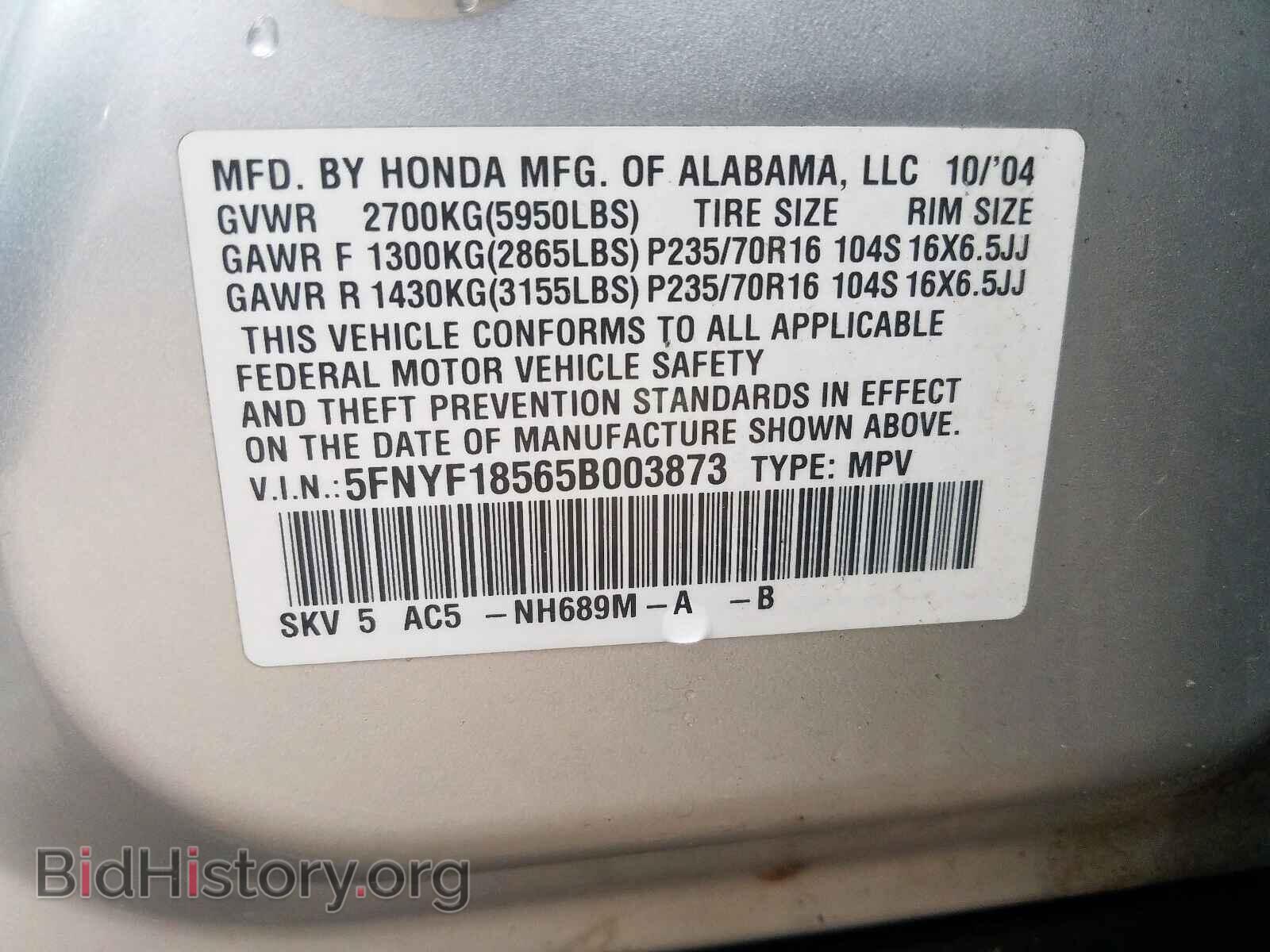 2005 HONDA PILOT - VIN: 5FNYF18565B003873 - Фото 10