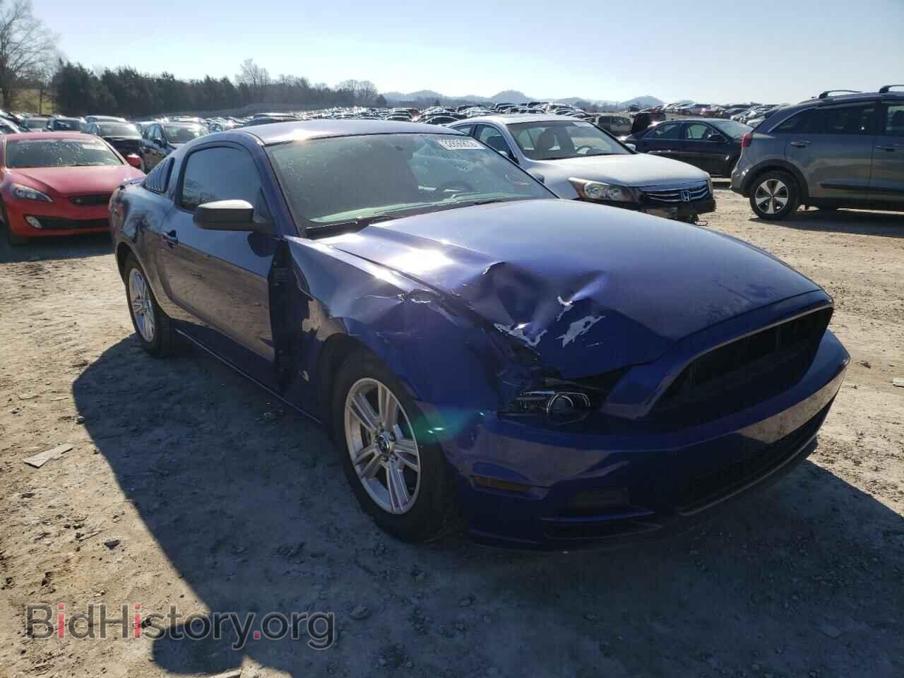 Фотография 1ZVBP8AM9E5286474 - FORD MUSTANG 2014