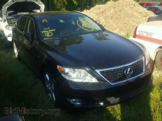 Photo JTHBL5EF9A5092917 - LEXUS LS460 2010