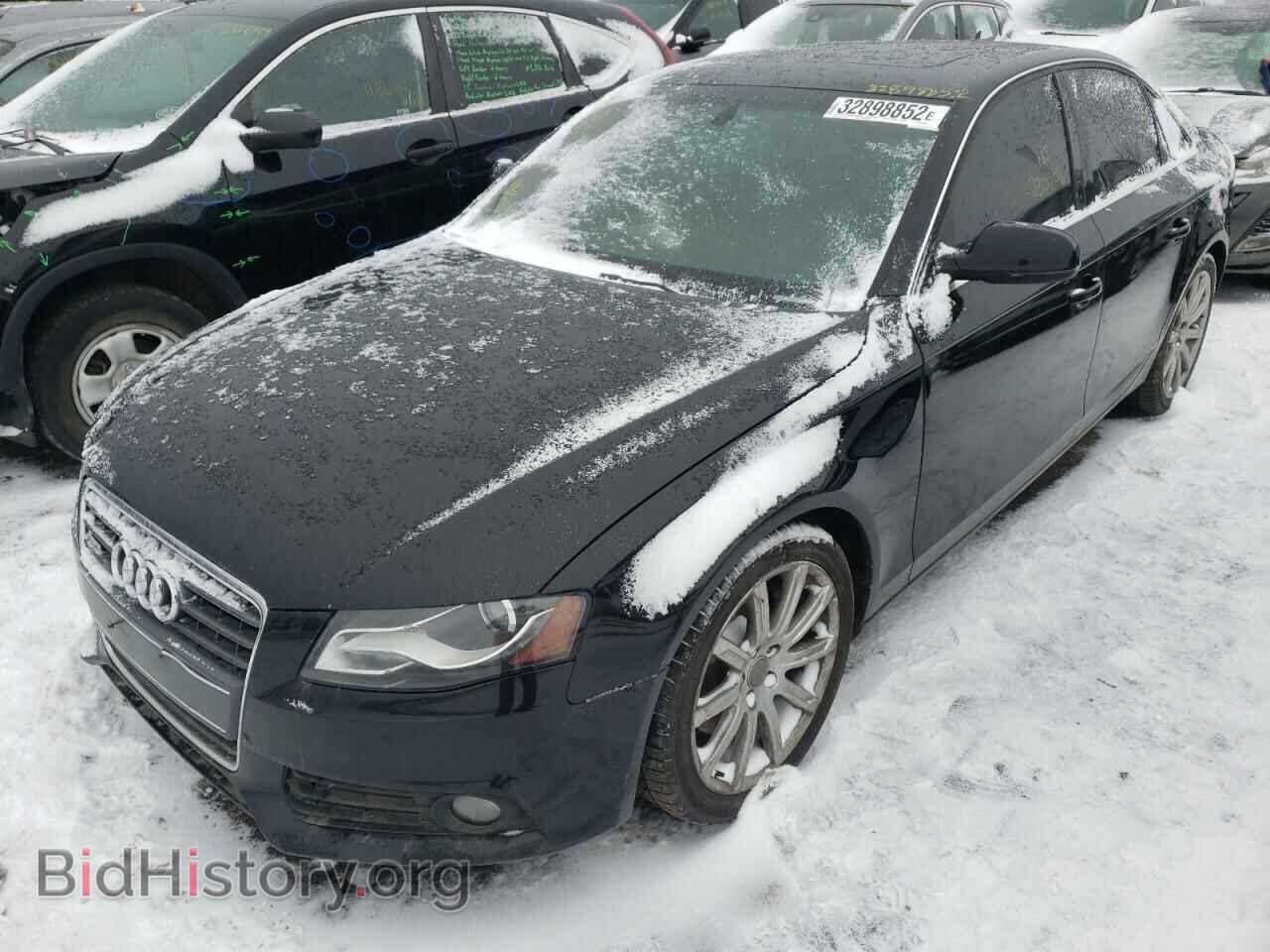 2010 AUDI A4 - VIN: WAUHFAFL5AN037278 - Фото 2