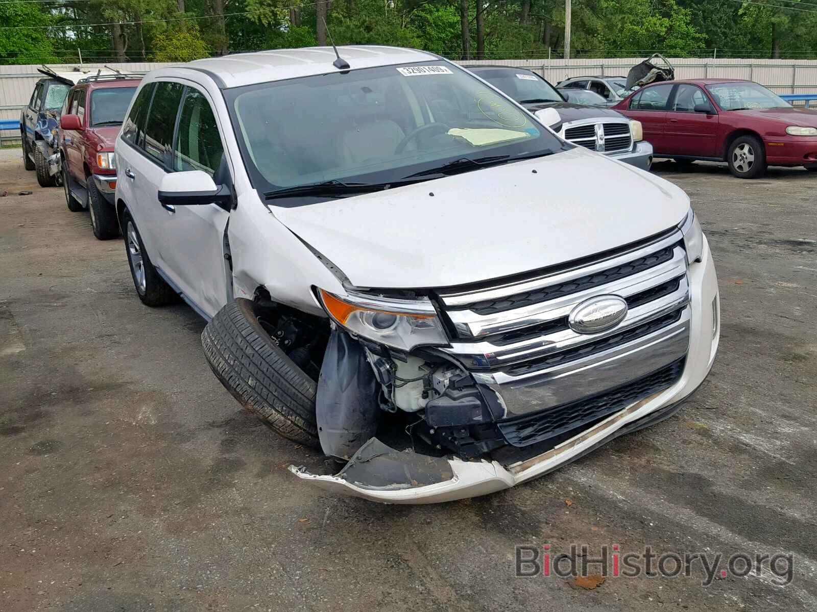 Photo 2FMDK3JC6BBA99099 - FORD EDGE SEL 2011