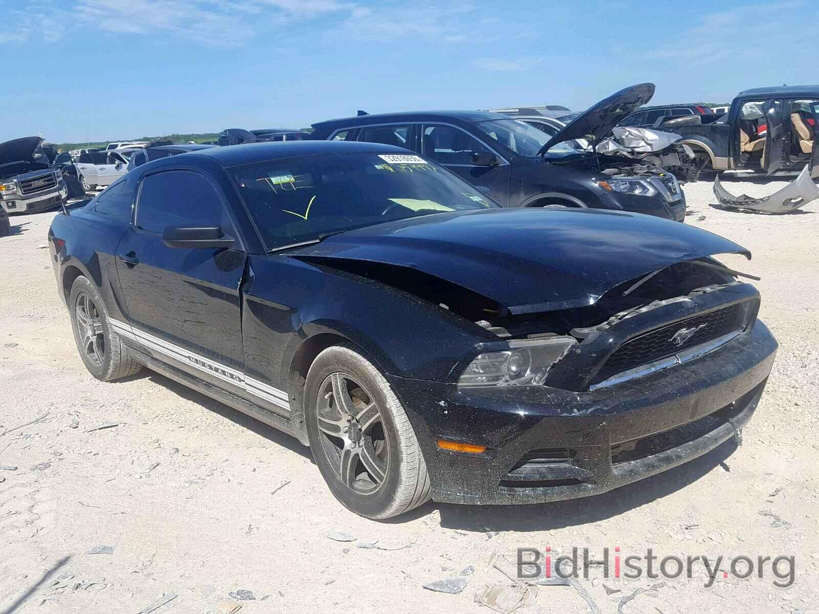 Photo 1ZVBP8AM5D5254992 - FORD MUSTANG 2013