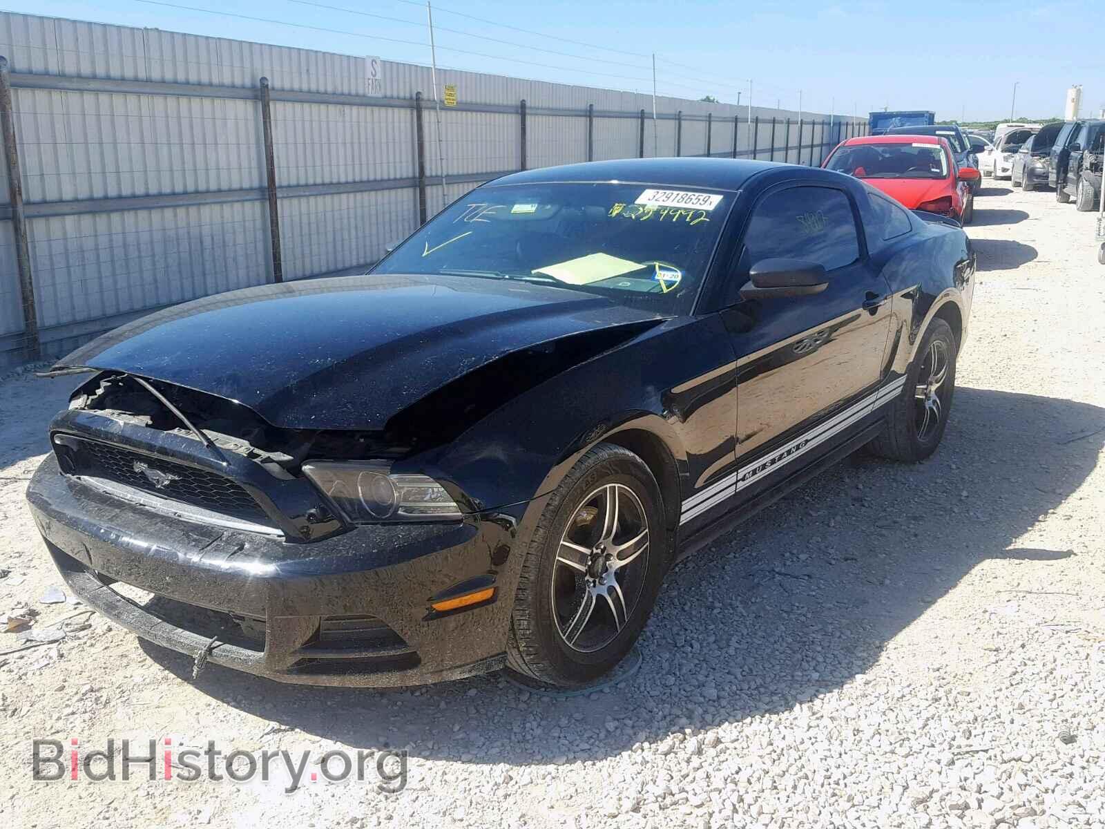 2013 FORD MUSTANG - VIN: 1ZVBP8AM5D5254992 - Фото 2