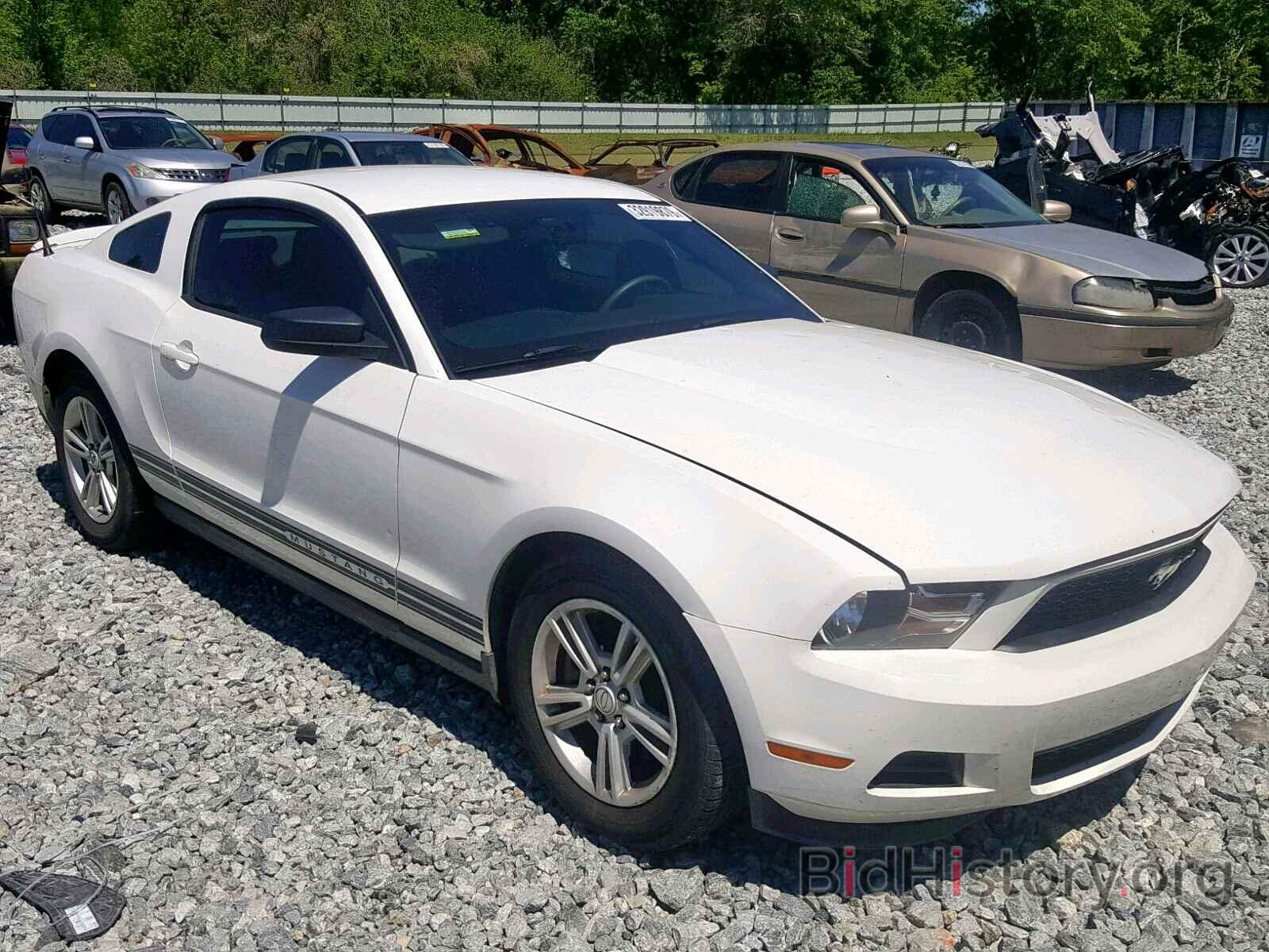 Photo 1ZVBP8AM0C5246376 - FORD MUSTANG 2012