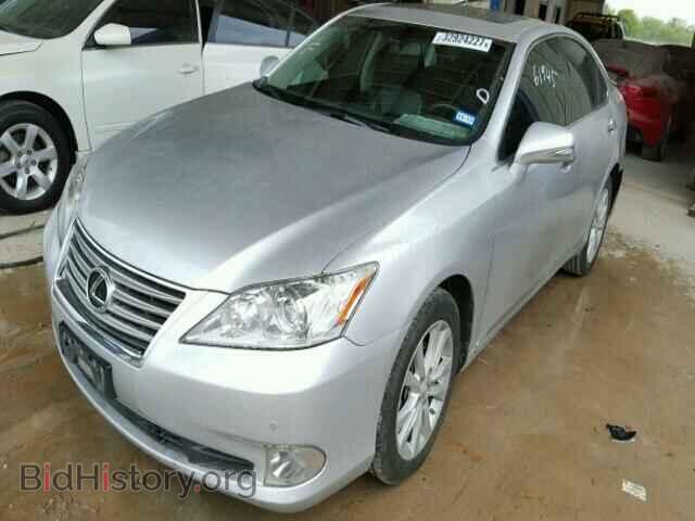 2011 LEXUS ES350 - VIN: JTHBK1EGXB2420188 - Фото 2